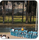 Objetivos Del Colegio